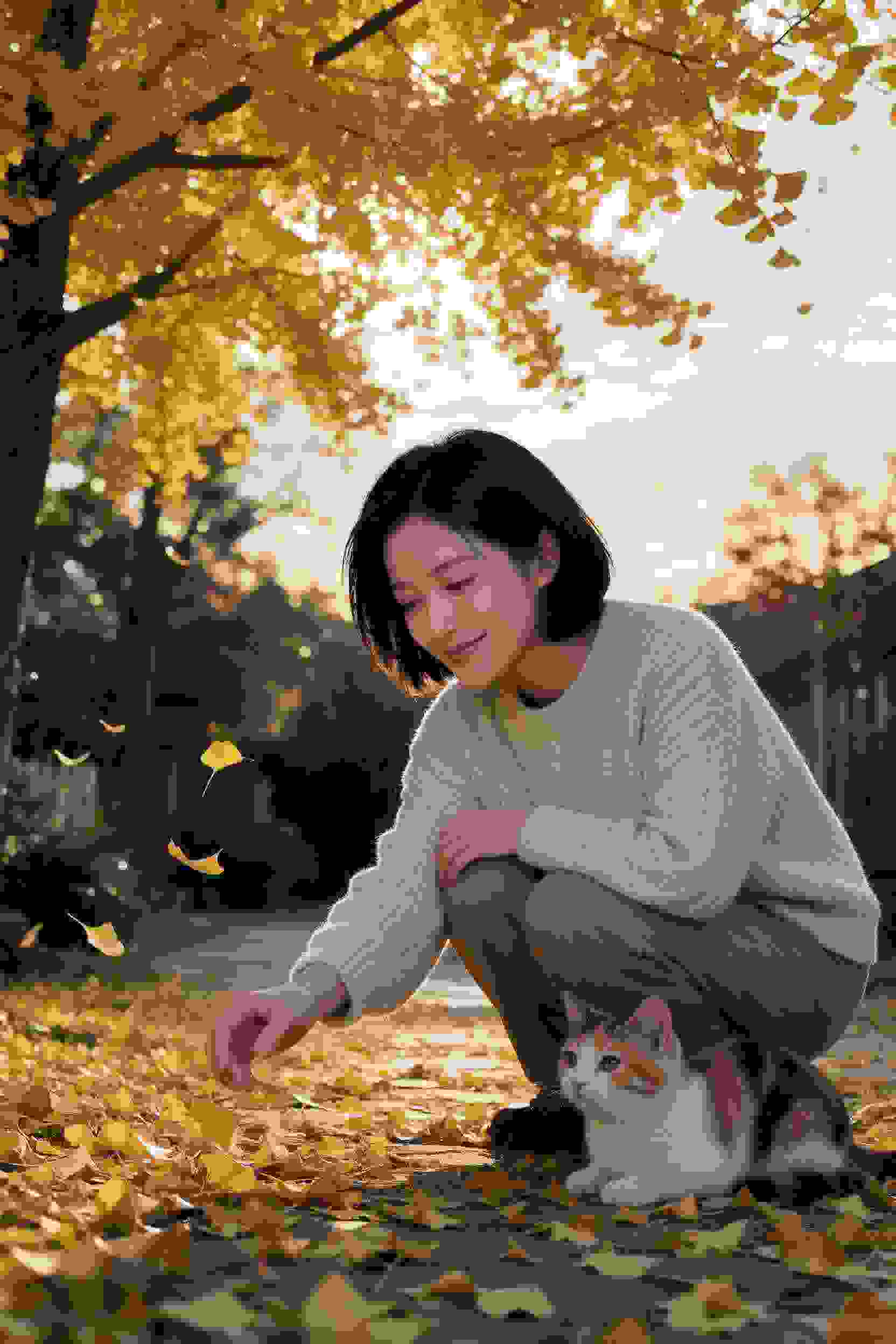 作品